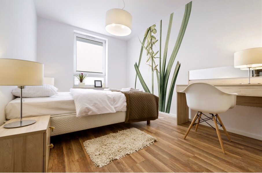 Koyosa illustration  Mural print