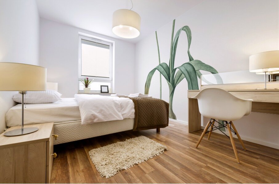 Black garlic illustration  Mural print