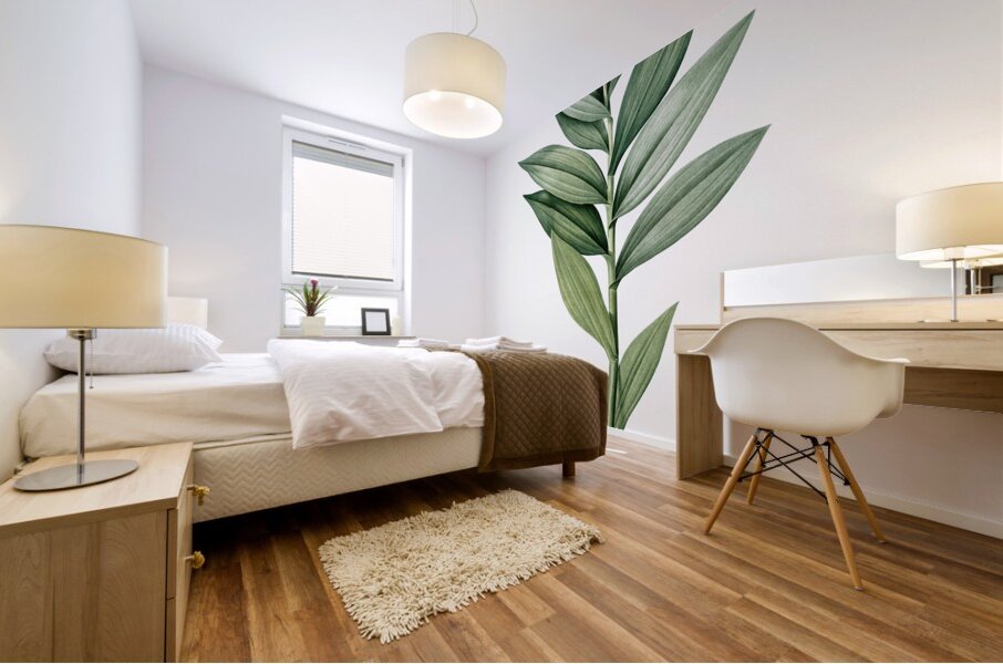 Smilacina stellata illustration  Mural print