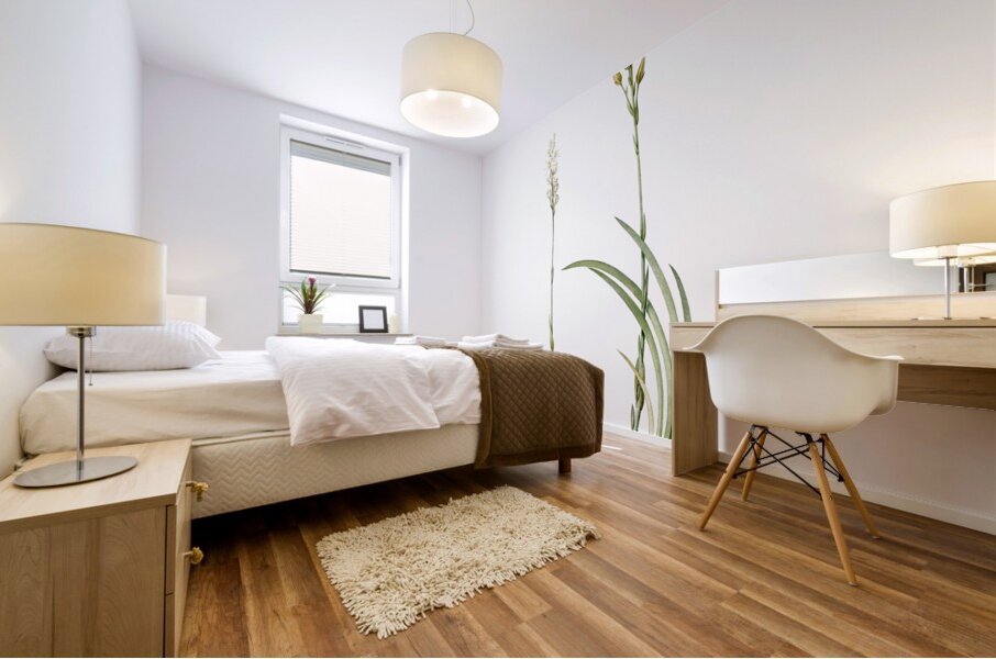 Abama ossifraga illustration  Mural print