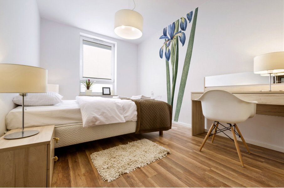 Blue iris illustration  Mural print