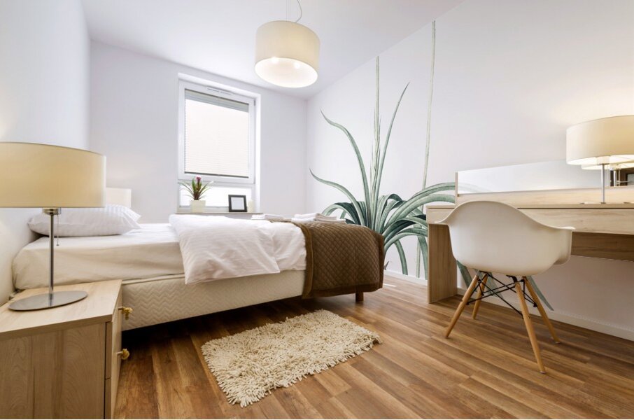 Agave yuccaefolia illustration  Mural print