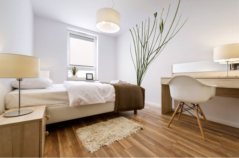 Golden blue-eyed grass illustration  Mural print