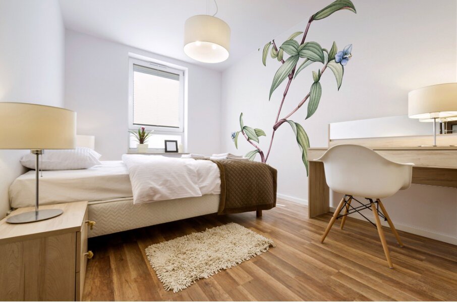 Birdbill dayflower illustration  Mural print