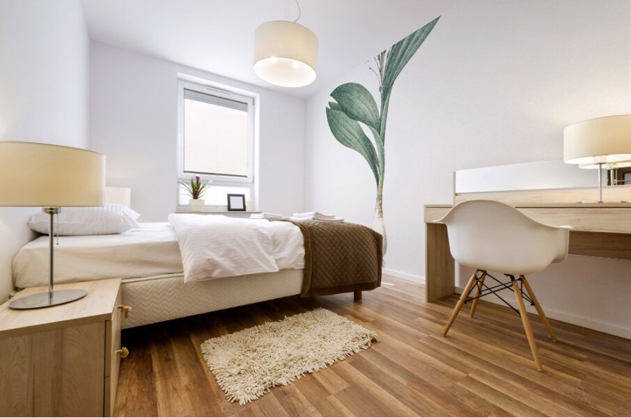 Pygmy hyacinth illustration  Mural print