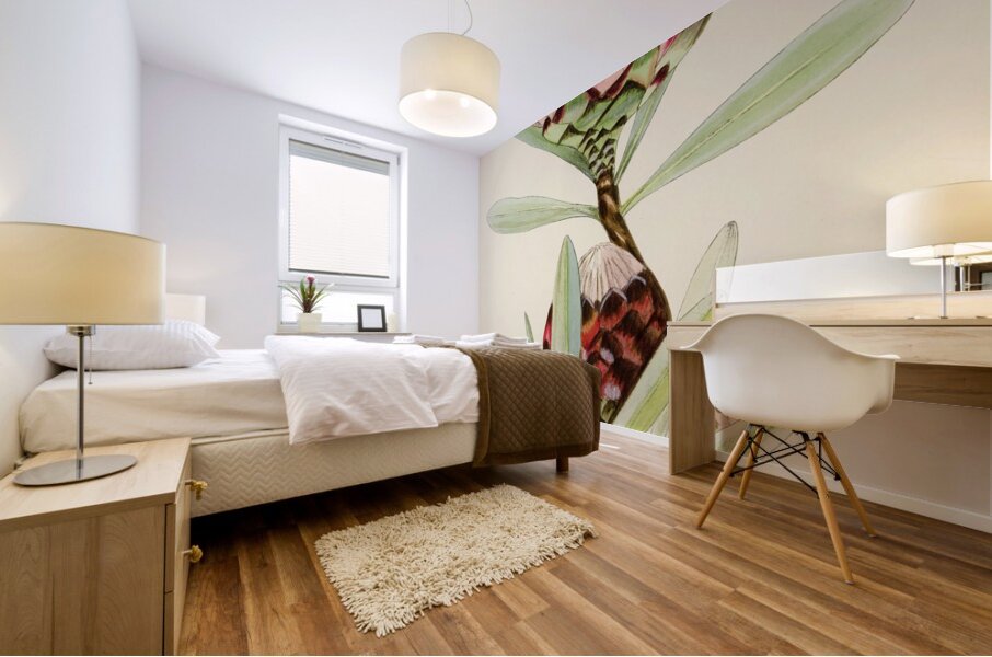 Protea Abyssinica Mural print