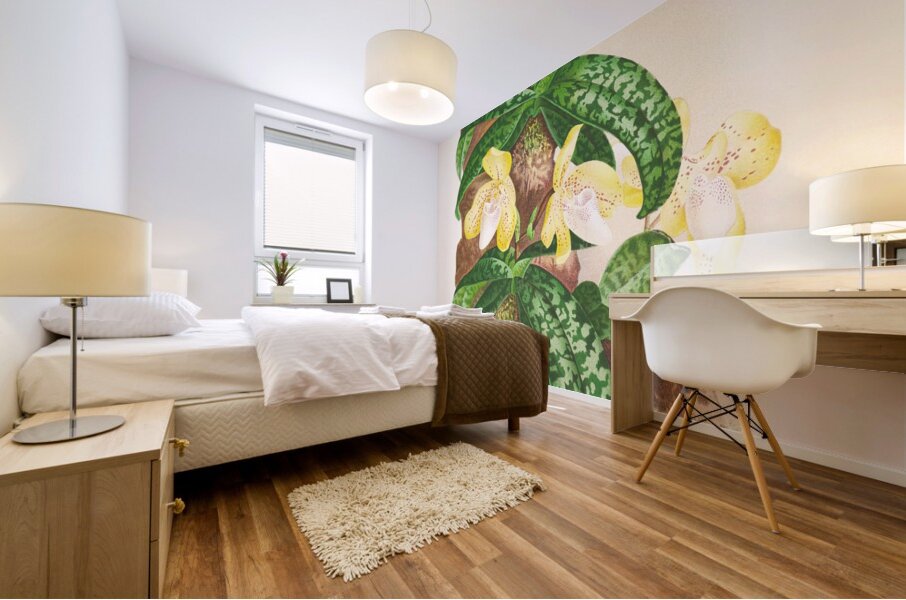 Cypripedium tonkinense Mural print