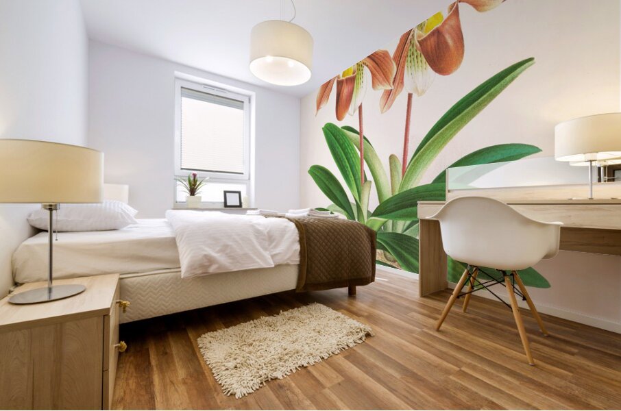 Cypripedium oenanthum superbum Mural print