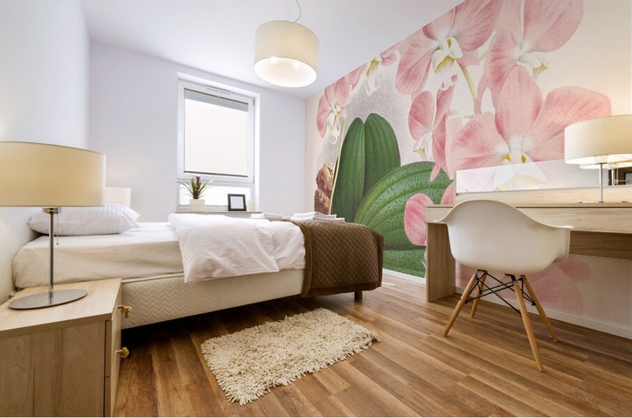 Phalaenopsis sanderiana Mural print