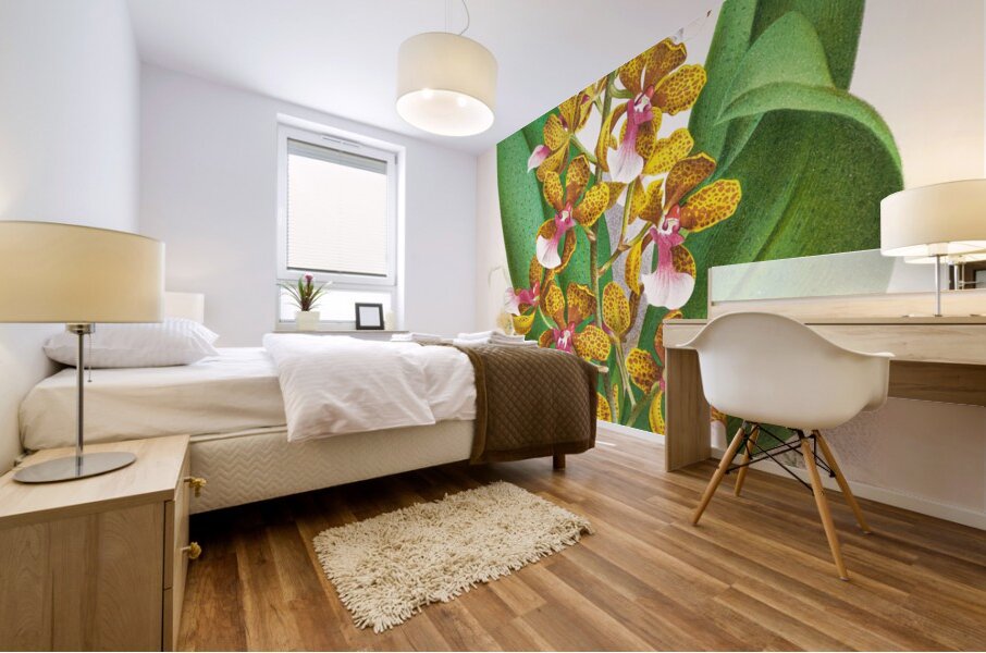 Oncidium Lannceanum Mural print