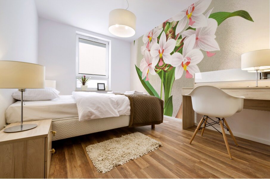 Spathoglottis Augustorum Mural print