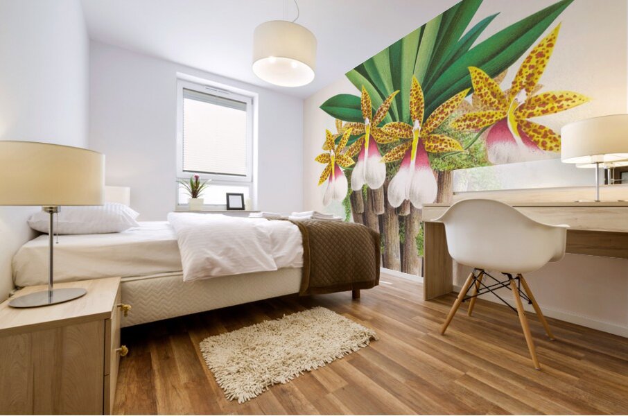 Trichocentrum Tigrinum Mural print