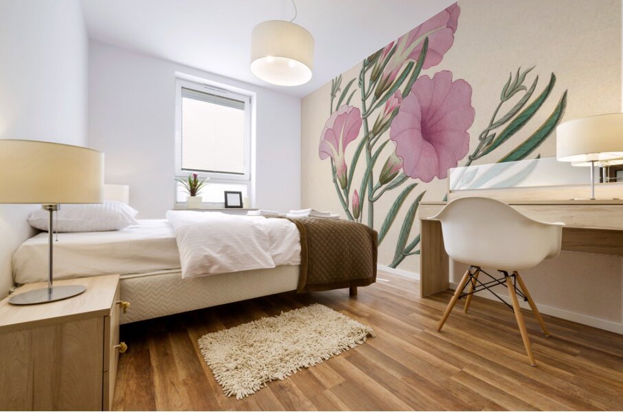 Convolvulus [Ipomoea oenotheroides] 1817 Mural print