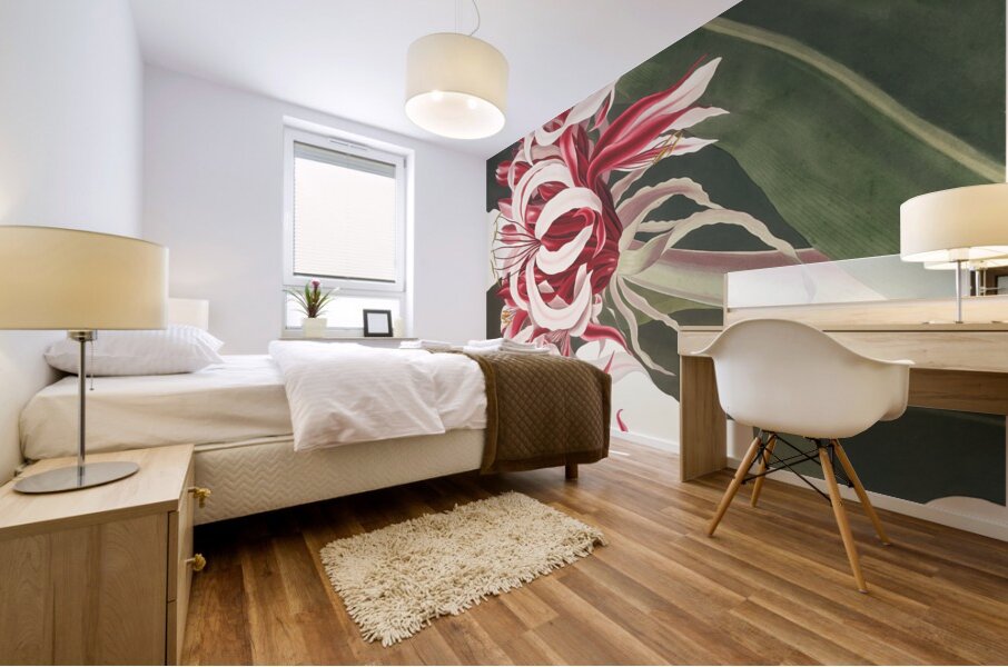 Crinium Augustum. [Queen Emma] 1834 Mural print