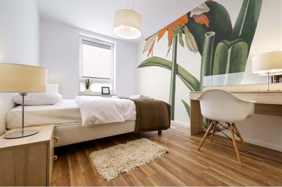 Amaryllis Fulgida 1834 Mural print