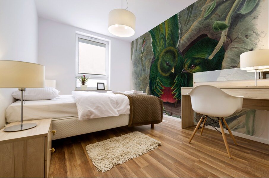 John Gould trogons 027 Mural print