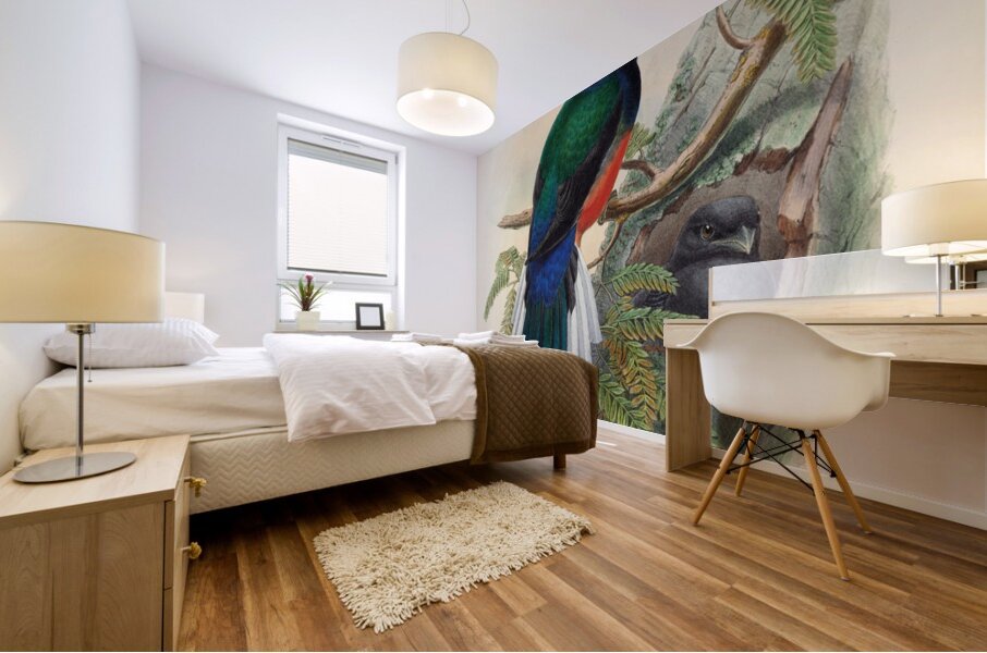 John Gould trogons 031 Mural print