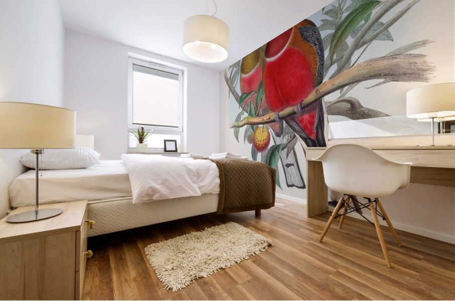 John Gould trogons 021 Mural print