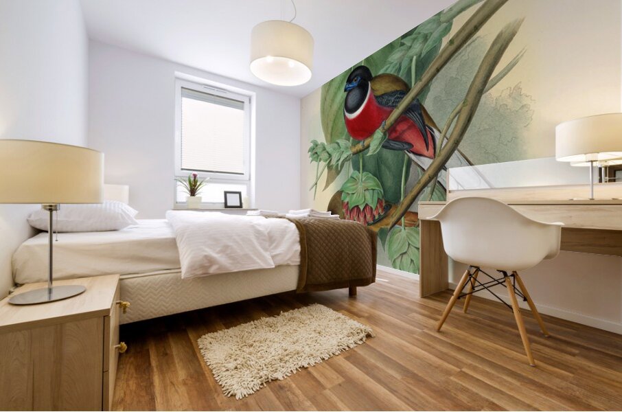 John Gould trogons 035 Mural print