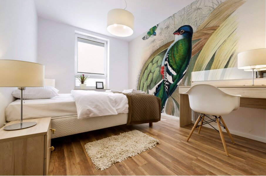 John Gould trogons 015 Mural print