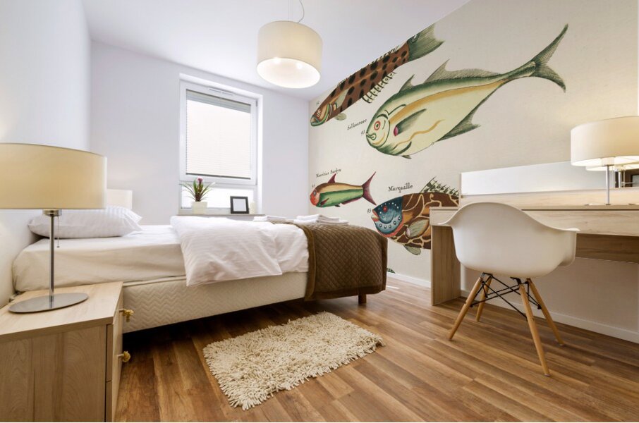 Colourful and surreal illustrations of fishes found in Moluccas Indonesia and the East Indies by Louis Renard 1678 -1746 from Histoire naturelle des plus rares curiositez de la mer des Indes 1754. Mural print