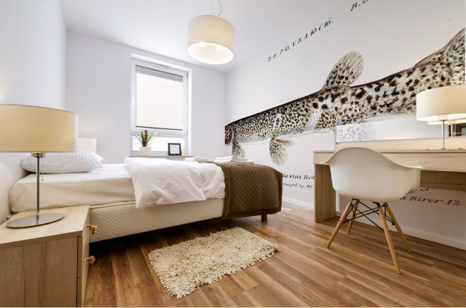 Antique Climbing Galaxias South Pacific Fishes by Frank Edward Clarke 1849-1899.  Mural print