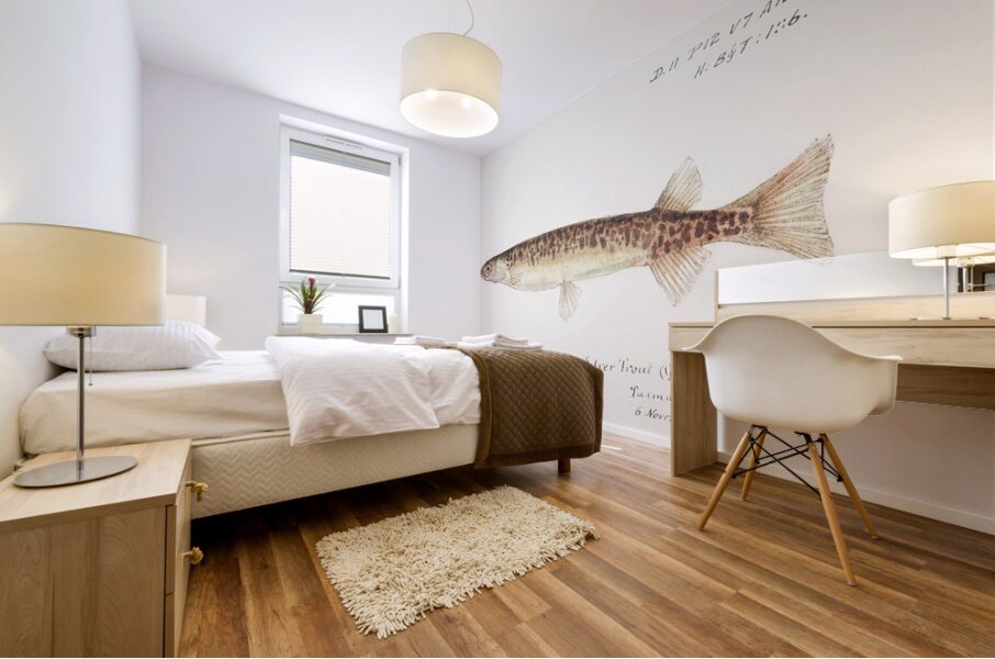 Antique fish galaxias gracilis dwarf inanga South Pacific Fishes by Frank Edward Clarke 1849-1899.  Mural print