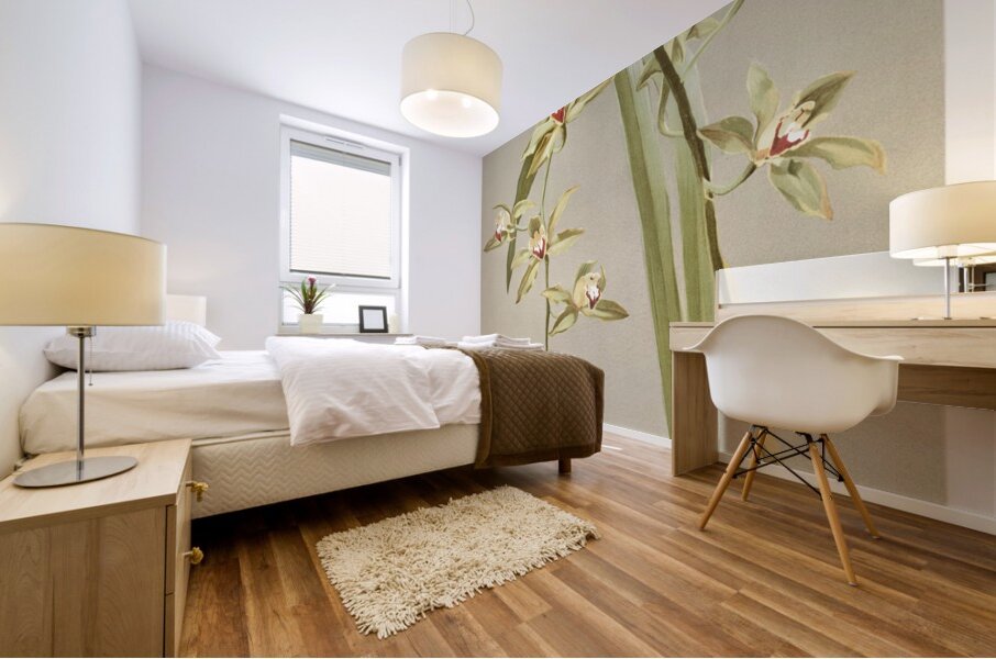 Cymbidium lowianum from Reichenbachia Orchids 1888-1894 illustrated by Frederick Sander 1847-1920.  Mural print