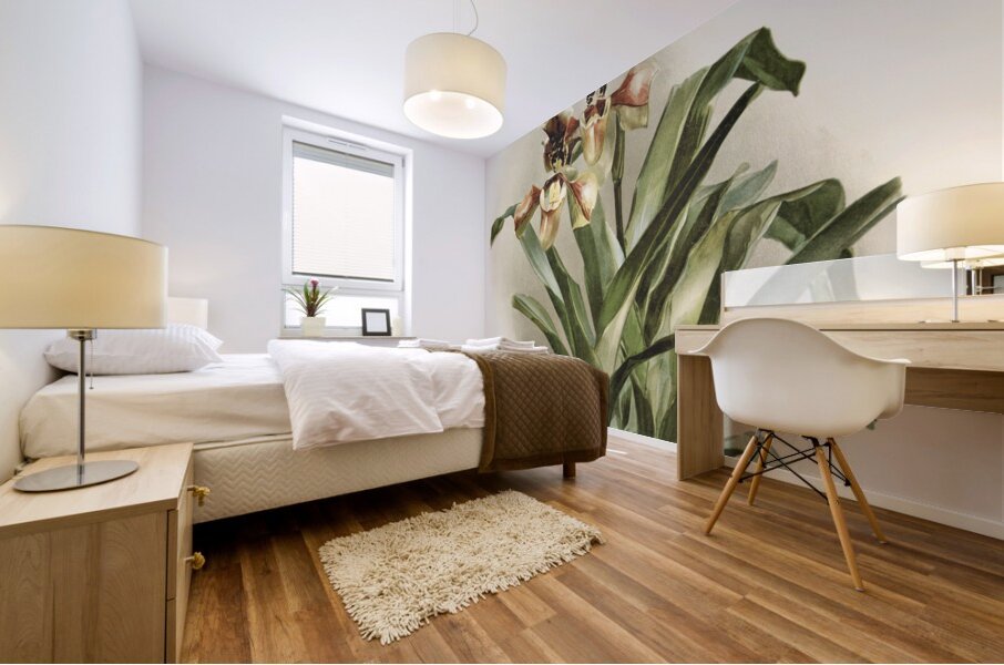 Coelogyne cristata maxima from Reichenbachia Orchids 1888-1894 illustrated by Frederick Sander 1847-1920.  Mural print