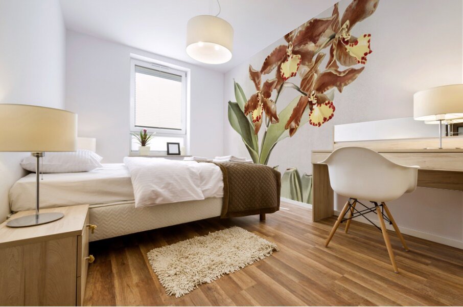 Odontoglossum insleayi splendens from Reichenbachia Orchids 1888-1894 illustrated by Frederick Sander 1847-1920.  Mural print