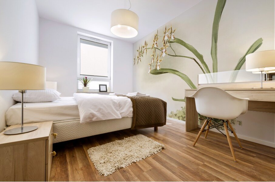 Odontoglossum sanderianum from Reichenbachia Orchids 1888-1894 illustrated by Frederick Sander 1847-1920.  Mural print