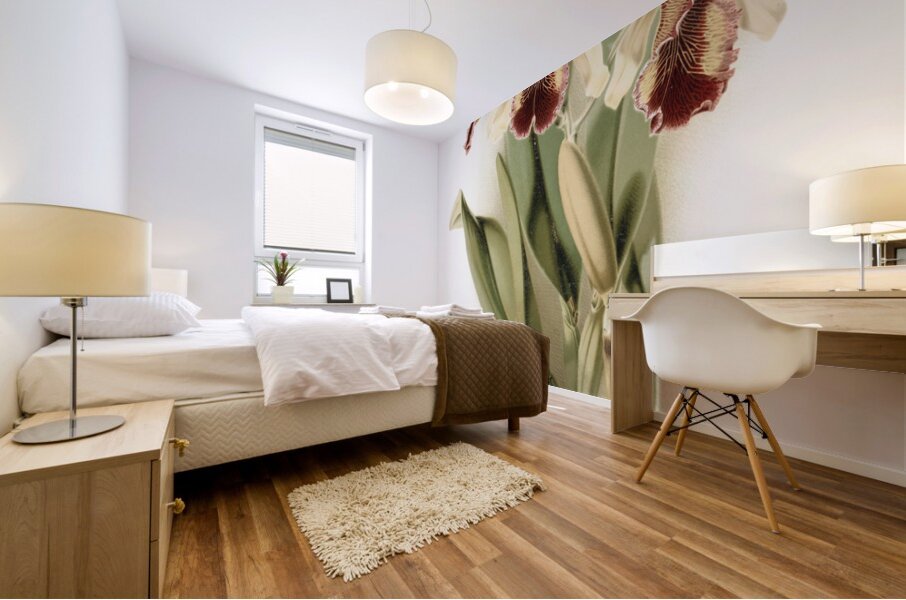 Cattleya dowiana aurea from Reichenbachia Orchids 1888-1894 by Frederick Sander 1847-1920.  Mural print