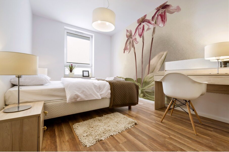 Cypripedium tautzianum from Reichenbachia Orchids 1888-1894 illustrated by Frederick Sander 1847-1920.  Mural print