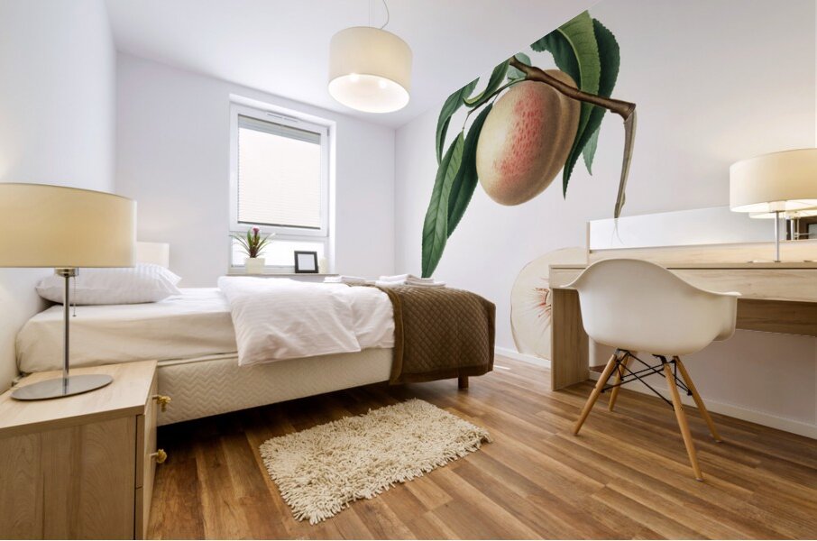 Peach Persica julodermis from Pomona Italiana 1817 - 1839 by Giorgio Gallesio 1772-1839.  Mural print