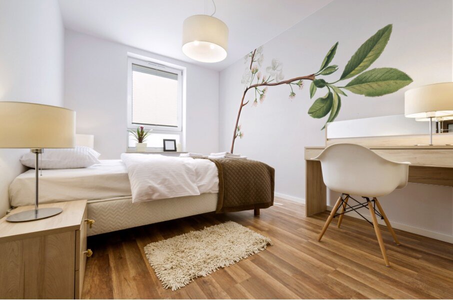 Flower of Plum Fiore di Susina Settembrina from Pomona Italiana 1817 - 1839 by Giorgio Gallesio 1772-1839.  Mural print