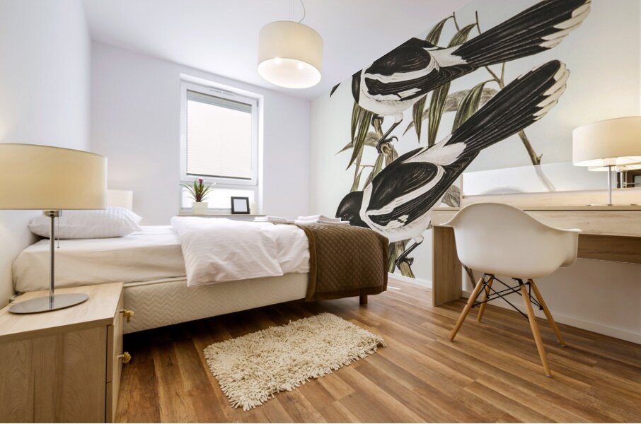 Pied Crow-Shrike Cracticus picatus illustrated by Elizabeth Gould 1804–1841 for John Gould’s 1804-1881 Birds of Australia  Mural print