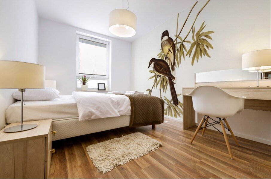 Northern Fantail Rhipidura isura illustrated by Elizabeth Gould 1804–1841 for John Gould’s 1804-1881 Birds of Australia  Mural print