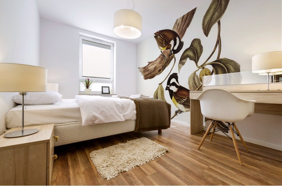 White-bellied Shrike-Tit Falcunculus leucogaster illustrated by Elizabeth Gould 1804–1841 for John Gould’s 1804-1881 Birds of Australia  Mural print