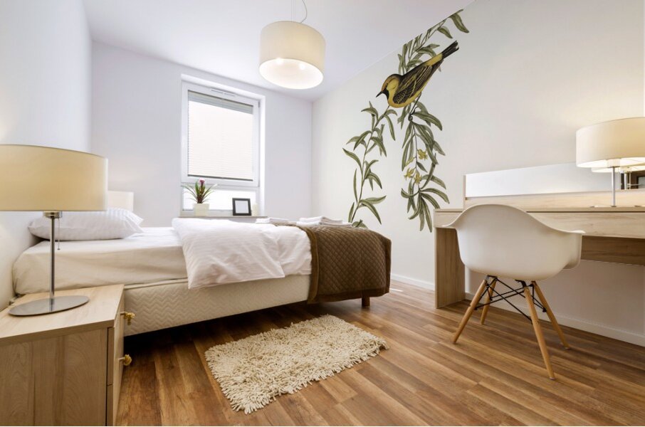 Orange-fronted chat Ephthianura aurifrons illustrated by Elizabeth Gould 1804–1841 for John Gould’s 1804-1881 Birds of Australia  Mural print