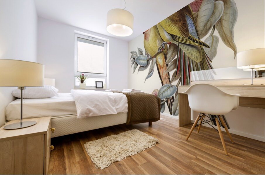 The Princess of Wales&39s Parakeet Polytelis Alexandrae illustrated by Elizabeth Gould 1804–1841 for John Gould’s 1804-1881 Birds of Australia  Mural print