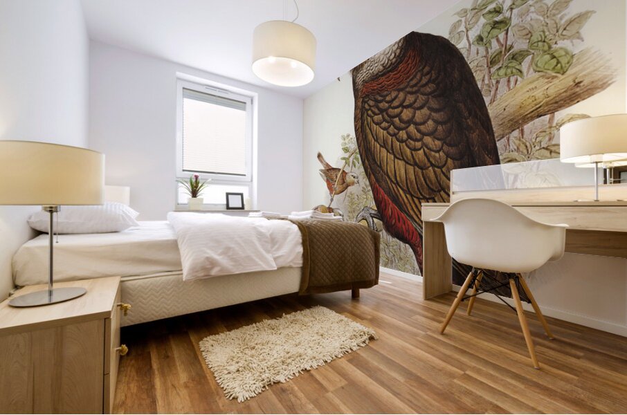 Jardine’s cuckooshrike Campephaga Jardinii illustrated by Elizabeth Gould 1804–1841 for John Gould’s 1804-1881 Birds of Australia  Mural print