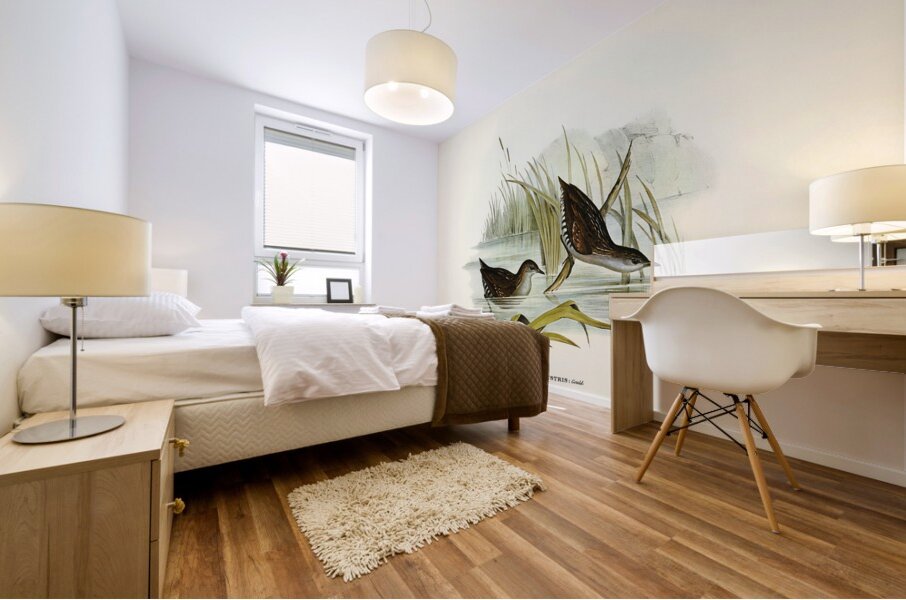 Water Crake Porzana palustris illustrated by Elizabeth Gould 1804–1841 for John Gould’s 1804-1881 Birds of Australia  Mural print