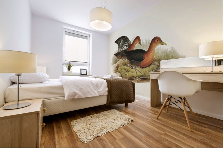 Red-necked Rail Rallina tricolor illustrated by Elizabeth Gould 1804–1841 for John Gould’s 1804-1881 Birds of Australia  Mural print