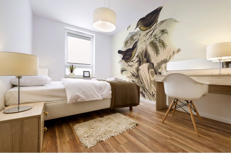 Sombre-coloured Sericornis Sericornis humilis illustrated by Elizabeth Gould 1804–1841 for John Gould’s 1804-1881 Birds of Australia  Mural print