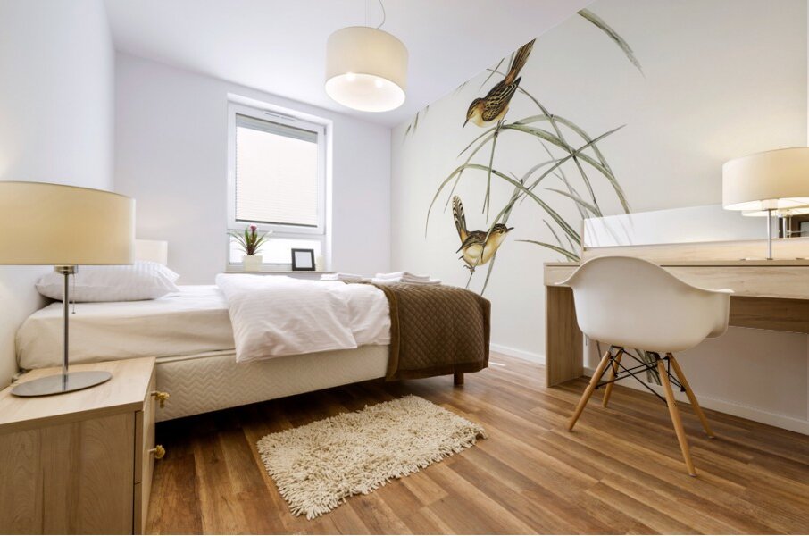 Exile Warbler Cysticola exilis illustrated by Elizabeth Gould 1804–1841 for John Gould’s 1804-1881 Birds of Australia  Mural print