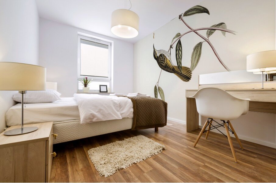 Cockerells Honey-eater Ptilotis Cockerelli illustrated by Elizabeth Gould 1804–1841 for John Gould’s 1804-1881 Birds of Australia  Mural print