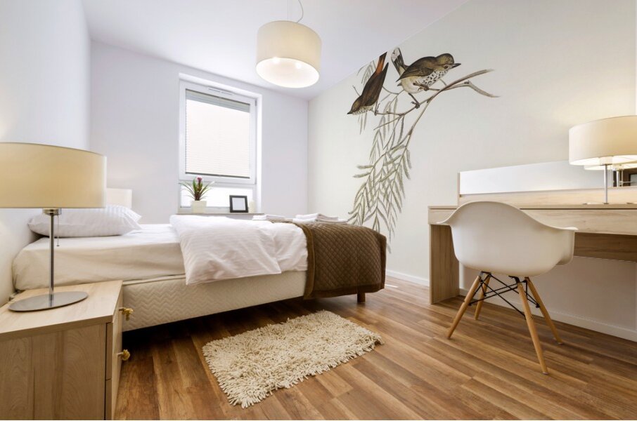 Red-rumped Acanthiza Acanthiza pyrrhopygia illustrated by Elizabeth Gould 1804–1841 for John Gould’s 1804-1881 Birds of Australia  Mural print