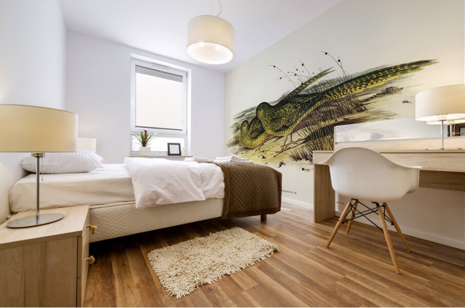 Ground Parakeet Pezoporus formosus illustrated by Elizabeth Gould 1804–1841 for John Gould’s 1804-1881 Birds of Australia  Mural print