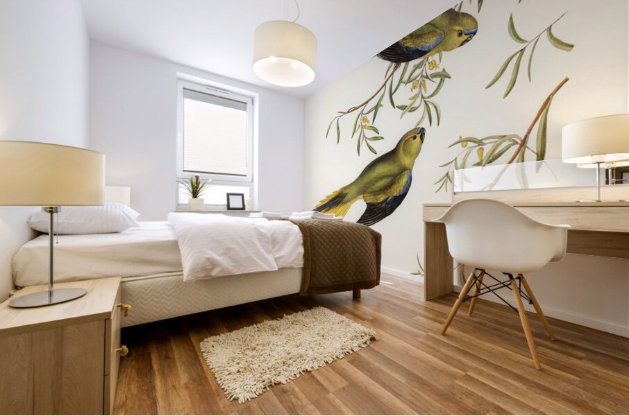 Elegant Grass-Parakeet Euphema elegans illustrated by Elizabeth Gould 1804–1841 for John Gould’s 1804-1881 Birds of Australia  Mural print