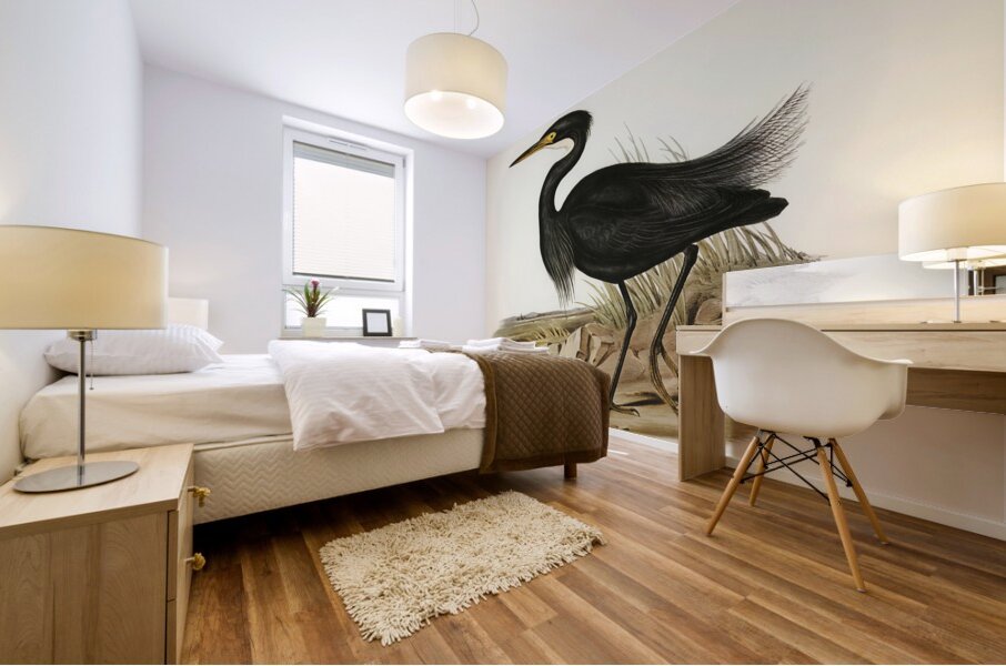 Sombre Egret Herodias pannosus illustrated by Elizabeth Gould 1804–1841 for John Gould’s 1804-1881 Birds of Australia  Mural print